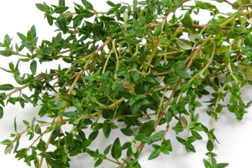 Sweet Thyme
